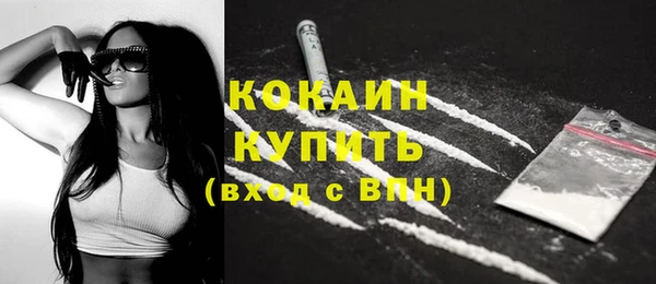 индика Нязепетровск