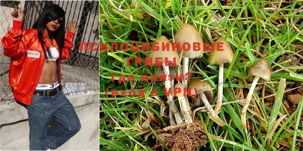 mix Осинники