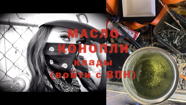 соль ск Няндома