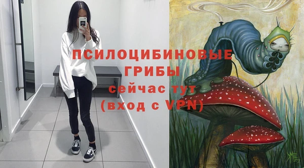 соль ск Няндома