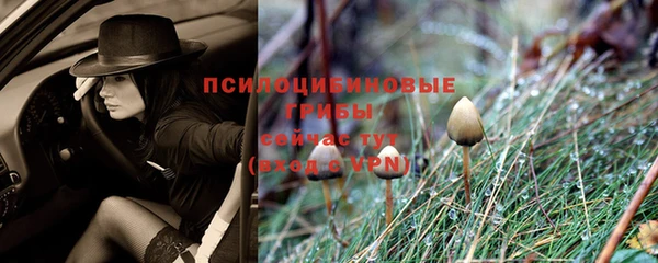 mix Осинники