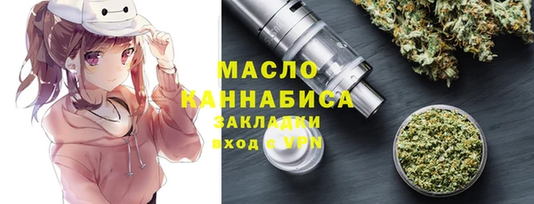 индика Нязепетровск