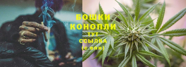 соль ск Няндома