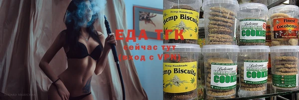 индика Нязепетровск