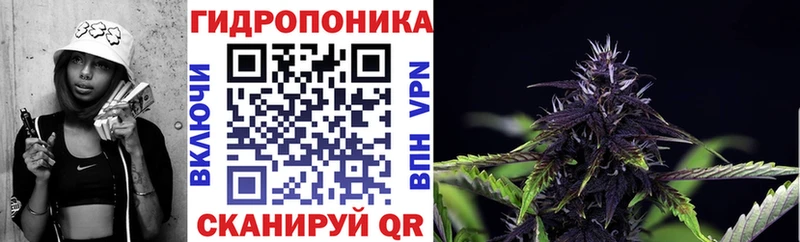Марихуана планчик Нолинск